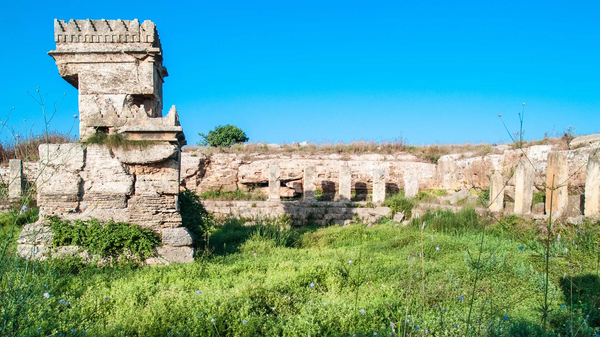 A panoramic photograph reveals the archaeological site of Amrit, embraced by abundant greenery and framed by the serene blue sky in the background.