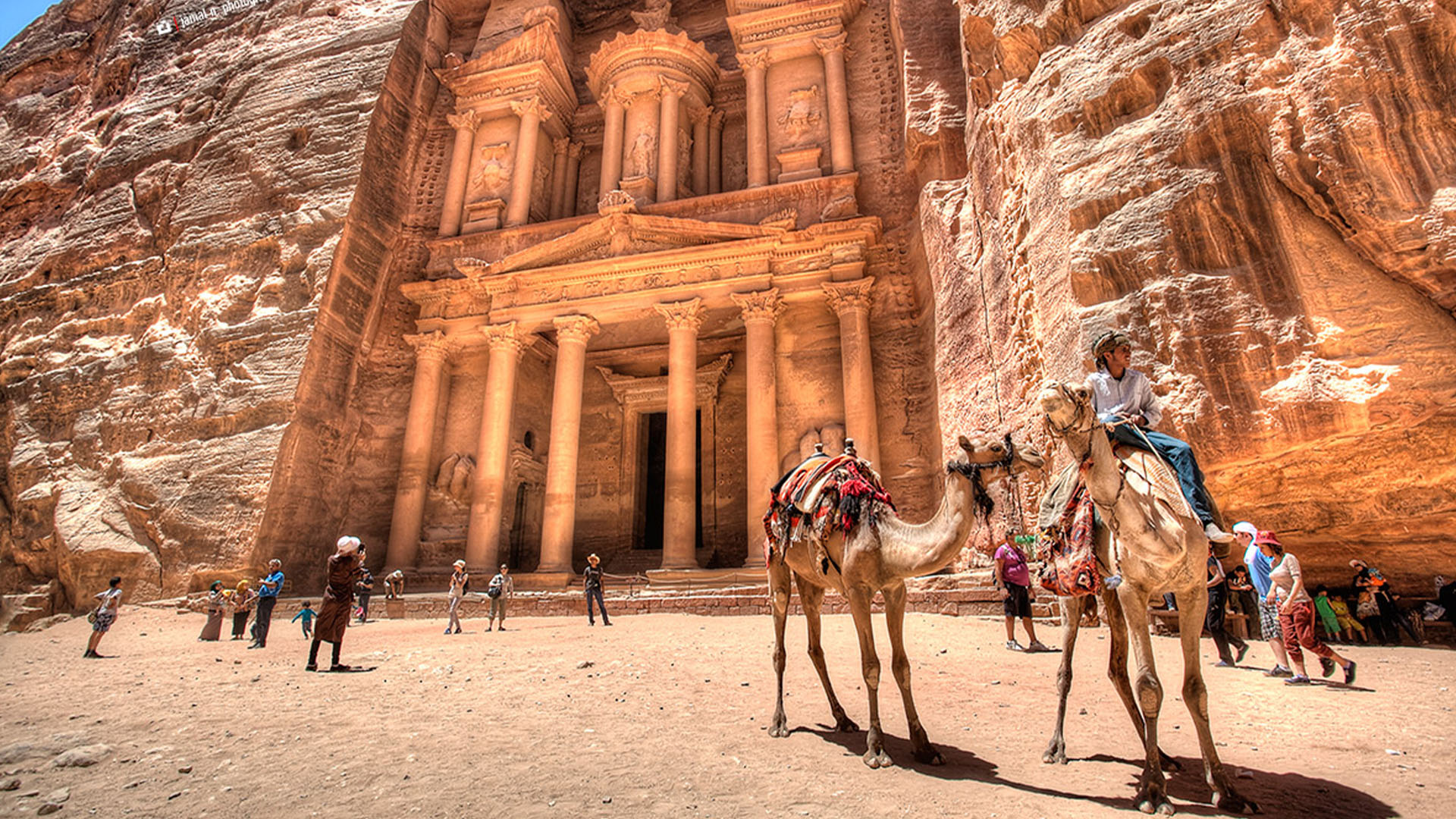 A panoramic photograph immortalizes the awe-inspiring rock-cut architecture of Petra, where two camels take center stage in the foreground, while in the background, a diverse array of international tourists.