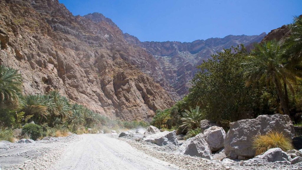 A panoramic photograph immortalizes Wadi Bani Auf, with its majestic rocky mountains serving as a dramatic backdrop.